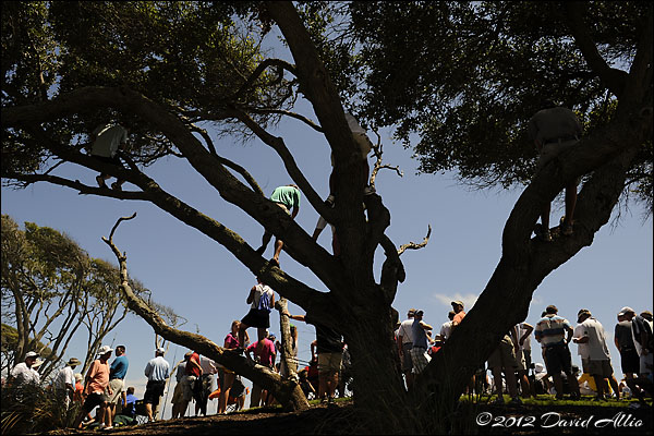 Golf Fans | ©2012 David Allio for Icon SMI