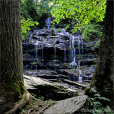 Station Cove Falls | SC | david allio