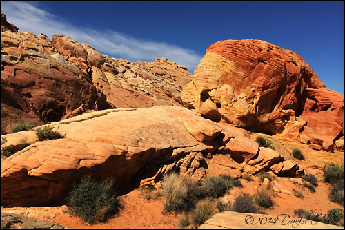 Mojave Desert