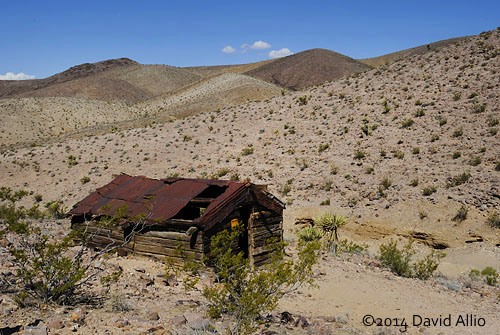 Abandoned Cabin in Johnnie | NV | david allio