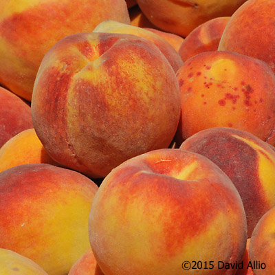 Peaches Saturday Charleston Farmers Market South Carolina