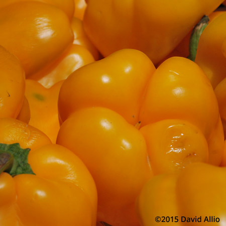 Yellow Peppers Saturday Charleston Farmers Market South Carolina