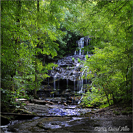 Station Cove Falls | SC | david allio