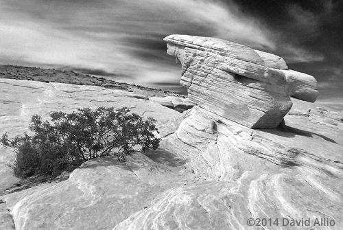 Fissures and Formations Mojave Desert Clark County Nevada