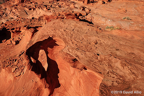 Fissures and Arches Little Finland Gold Butte National Monument Nevada